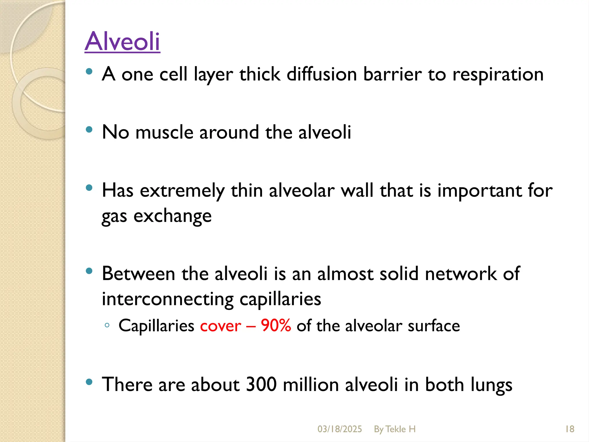 03/18/2025 By Tekle H 18
Alveoli
 A one cell layer thick diffusion barrier to respiration
 No muscle around the alveoli
 Has extremely thin alveolar wall that is important for
gas exchange
 Between the alveoli is an almost solid network of
interconnecting capillaries
◦ Capillaries cover – 90% of the alveolar surface
 There are about 300 million alveoli in both lungs
 