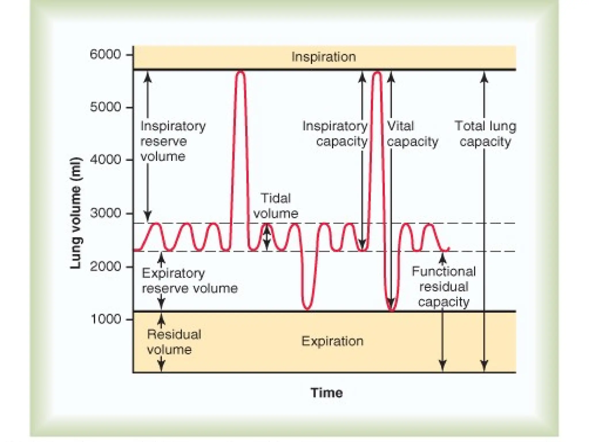 03/18/2025 By Tekle H 48
 