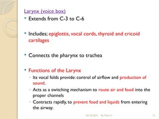 03/18/2025 By Tekle H 12
Larynx (voice box)
 Extends from C-3 to C-6
 Includes; epiglottis, vocal cords, thyroid and cricoid
cartilages
 Connects the pharynx to trachea
 Functions of the Larynx
◦ Its vocal folds provide: control of airflow and production of
sound.
◦ Acts as a switching mechanism to route air and food into the
proper channels
◦ Contracts rapidly, to prevent food and liquids from entering
the airway.
 