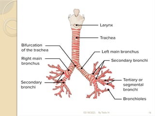 03/18/2025 By Tekle H 16
 