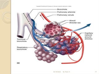 03/18/2025 By Tekle H 19
 