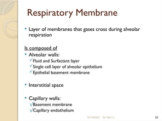 03/18/2025 By Tekle H 22
Respiratory Membrane
 Layer of membranes that gases cross during alveolar
respiration
Is composed of
 Alveolar walls:
Fluid and Surfactant layer
Single cell layer of alveolar epithelium
Epithelial basement membrane
 Interstitial space
 Capillary walls:
√Basement membrane
√Capillary endothelium
 
