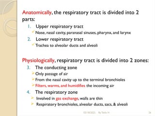 03/18/2025 By Tekle H 26
Anatomically, the respiratory tract is divided into 2
parts:
1. Upper respiratory tract
Nose, nasal cavity, paranasal sinuses, pharynx, and larynx
2. Lower respiratory tract
Trachea to alveolar ducts and alveoli
Physiologically, respiratory tract is divided into 2 zones:
3. The conducting zone
Only passage of air
From the nasal cavity up to the terminal bronchioles
Filters, warms, and humidifies the incoming air
4. The respiratory zone
 Involved in gas exchange, walls are thin
 Respiratory bronchioles, alveolar ducts, sacs, & alveoli
 