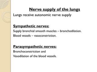 03/18/2025 By Tekle H 32
Nerve supply of the lungs
Lungs receive autonomic nerve supply
Sympathetic nerves:
Supply bronchial smooth muscles – bronchodilation.
Blood vessels – vasoconstriction.
Parasympathetic nerves:
Bronchoconstriction and
Vasodilation of the blood vessels.
 