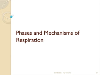 03/18/2025 By Tekle H 34
Phases and Mechanisms of
Respiration
 