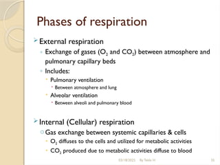 Phases of respiration
 External respiration
◦ Exchange of gases (O2 and CO2) between atmosphere and
pulmonary capillary beds
◦ Includes:
 Pulmonary ventilation
 Between atmosphere and lung
 Alveolar ventilation
 Between alveoli and pulmonary blood
 Internal (Cellular) respiration
oGas exchange between systemic capillaries & cells
 O2 diffuses to the cells and utilized for metabolic activities
 CO2 produced due to metabolic activities diffuse to blood
03/18/2025 By Tekle H 35
 