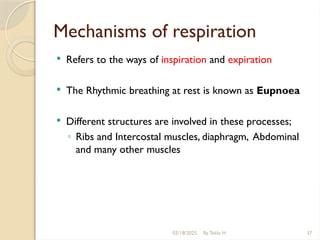 03/18/2025 By Tekle H 37
Mechanisms of respiration
 Refers to the ways of inspiration and expiration
 The Rhythmic breathing at rest is known as Eupnoea
 Different structures are involved in these processes;
◦ Ribs and Intercostal muscles, diaphragm, Abdominal
and many other muscles
 