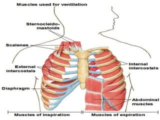 03/18/2025 By Tekle H 38
 