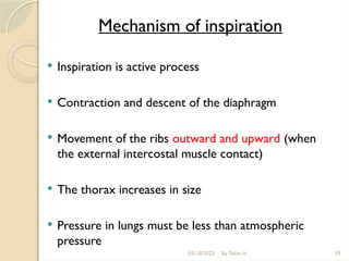 03/18/2025 By Tekle H 39
Mechanism of inspiration
 Inspiration is active process
 Contraction and descent of the diaphragm
 Movement of the ribs outward and upward (when
the external intercostal muscle contact)
 The thorax increases in size
 Pressure in lungs must be less than atmospheric
pressure
 