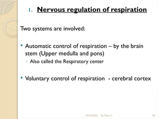 03/18/2025 By Tekle H 60
1. Nervous regulation of respiration
Two systems are involved:
 Automatic control of respiration – by the brain
stem (Upper medulla and pons)
◦ Also called the Respiratory center
 Voluntary control of respiration - cerebral cortex
 