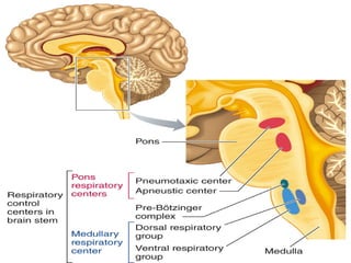 03/18/2025 By Tekle H 61
 