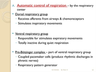 03/18/2025 62
A. Automatic control of respiration – by the respiratory
center
 Dorsal respiratory group
◦ Receives afferents from airways & chemoreceptors
◦ Stimulates inspiratory movements
 Ventral respiratory group
◦ Responsible for stimulates expiratory movements
◦ Totally inactive during quiet respiration
 Pre-Bötzinger complex – part of ventral respiratory group
◦ Coupled pacemaker cells (produce rhythmic discharges in
phrenic nerves)
◦ Respiratory pattern generator
By Tekle H
 