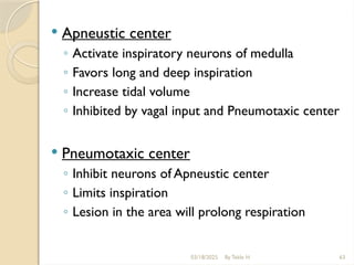 03/18/2025 By Tekle H 63
 Apneustic center
◦ Activate inspiratory neurons of medulla
◦ Favors long and deep inspiration
◦ Increase tidal volume
◦ Inhibited by vagal input and Pneumotaxic center
 Pneumotaxic center
◦ Inhibit neurons of Apneustic center
◦ Limits inspiration
◦ Lesion in the area will prolong respiration
 