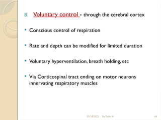 03/18/2025 By Tekle H 64
B. Voluntary control - through the cerebral cortex
 Conscious control of respiration
 Rate and depth can be modified for limited duration
 Voluntary hyperventilation, breath holding, etc
 Via Corticospinal tract ending on motor neurons
innervating respiratory muscles
 