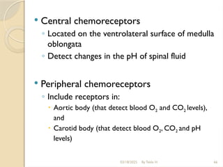 03/18/2025 By Tekle H 66
 Central chemoreceptors
◦ Located on the ventrolateral surface of medulla
oblongata
◦ Detect changes in the pH of spinal fluid
 Peripheral chemoreceptors
◦ Include receptors in:
 Aortic body (that detect blood O2 and CO2 levels),
and
 Carotid body (that detect blood O2, CO2 and pH
levels)
 