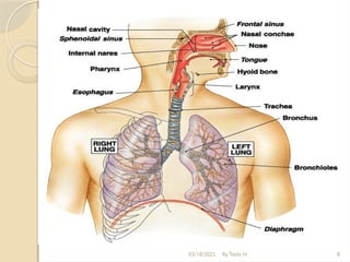 03/18/2025 By Tekle H 8
 