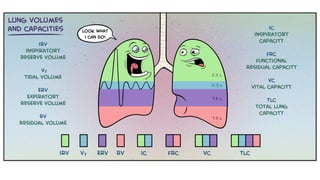 RESPIRATORY PHYSIOLOGY ppt for anaesthesia | PPTX