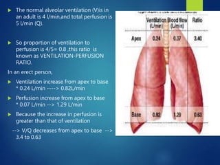  The normal alveolar ventilation (V)is in
an adult is 4 l/min,and total perfusion is
5 l/min (Q).
 So proportion of ventilation to
perfusion is 4/5= 0.8 ,this ratio is
known as VENTILATION-PERFUSION
RATIO.
In an erect person,
 Ventilation increase from apex to base
* 0.24 L/min ----> 0.82L/min
 Perfusion increase from apex to base
* 0.07 L/min --> 1.29 L/min
 Because the increase in perfusion is
greater than that of ventilation
--> V/Q decreases from apex to base -->
3.4 to 0.63
18
 
