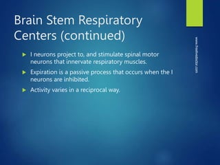 Brain Stem Respiratory
Centers (continued)
 I neurons project to, and stimulate spinal motor
neurons that innervate respiratory muscles.
 Expiration is a passive process that occurs when the I
neurons are inhibited.
 Activity varies in a reciprocal way.
www.freelivedoctor.com
 