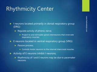 Rhythmicity Center
 I neurons located primarily in dorsal respiratory group
(DRG):
 Regulate activity of phrenic nerve.
 Project to and stimulate spinal interneurons that innervate
respiratory muscles.
 E neurons located in ventral respiratory group (VRG):
 Passive process.
 Controls motor neurons to the internal intercostal muscles.
 Activity of E neurons inhibit I neurons.
 Rhythmicity of I and E neurons may be due to pacemaker
neurons.
www.freelivedoctor.com
 