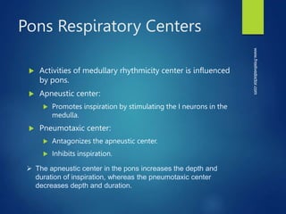 Pons Respiratory Centers
 Activities of medullary rhythmicity center is influenced
by pons.
 Apneustic center:
 Promotes inspiration by stimulating the I neurons in the
medulla.
 Pneumotaxic center:
 Antagonizes the apneustic center.
 Inhibits inspiration.
www.freelivedoctor.com
 The apneustic center in the pons increases the depth and
duration of inspiration, whereas the pneumotaxic center
decreases depth and duration.
 
