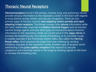 Thoracic Neural Receptors
Mechanoreceptors found in the airways, trachea, lung, and pulmonary vessels
provide sensory information to the respiratory center in the brain with regards
to lung volume, airway stretch, and vascular congestion. There are two
primary types of thoracic sensors: slow adapting stretch spindles and rapid
adapting irritant receptors. The former conveys only volume information while
the latter additionally responds to irritative chemical triggers such as harmful
harmful foreign agents and dust. Both types of mechanoreceptors transmit
information to the respiratory center via cranial nerve X (the vagus nerve) to
increase the breathing rate, the volume of breathing, or to stimulate cough.
A notable example is the Pulmonary stretch reflex, also called the Herring-
Breuer reflex, which prevents the lungs from over-inflating by sending
inhibitory impulses to the inspiration center. Another type of receptor worth
mentioning is the juxta-capillary receptors that respond to vascular
congestion and interstitial edema in the lungs by sending signals to the brain
to increase the breathing rate.
 