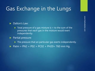 Gas Exchange in the Lungs
 Dalton’s Law:
 Total pressure of a gas mixture is = to the sum of the
pressures that each gas in the mixture would exert
independently.
 Partial pressure:
 The pressure that an particular gas exerts independently.
 Patm = PN2 + P02 + PC02 + PH20= 760 mm Hg.
www.freelivedoctor.com
 