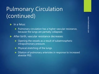 Pulmonary Circulation
(continued)
 In a fetus:
 Pulmonary circulation has a higher vascular resistance,
because the lungs are partially collapsed.
 After birth, vascular resistance decreases:
 Opening the vessels as a result of subatmospheric
intrapulmonary pressure.
 Physical stretching of the lungs.
 Dilation of pulmonary arterioles in response to increased
alveolar P02.
www.freelivedoctor.com
 