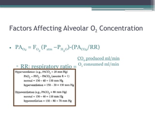 respiratoryphysiology- copy.pptx physiology | PPTX