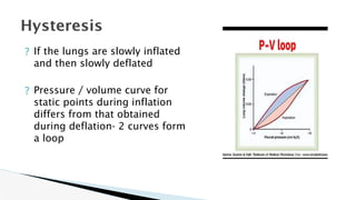 Loop Inflation This is a presentation about respiration physics | PPTX
