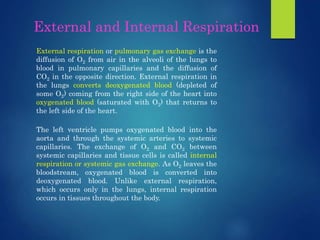 Respiratory physiology and respiratory disorders | PPTX