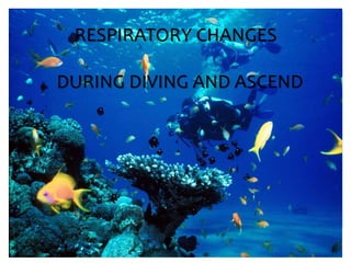 RESPIRATORY CHANGES
DURING DIVING AND ASCEND
 
