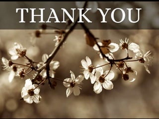 Respiratory physiology at high altitudes