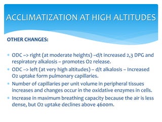 OTHER CHANGES:
 ODC –> right (at moderate heights) –d/t increased 2,3 DPG and
respiratory alkalosis – promotes O2 release.
 ODC --> left (at very high altitudes) – d/t alkalosis – Increased
O2 uptake form pulmonary capillaries.
 Number of capillaries per unit volume in peripheral tissues
increases and changes occur in the oxidative enzymes in cells.
 Increase in maximum breathing capacity because the air is less
dense, but O2 uptake declines above 4600m.
ACCLIMATIZATION AT HIGH ALTITUDES
 