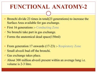 FUNCTIONAL ANATOMY-2
 Bronchi divide 23 times in total(23 generations) to increase the
Surface Area available for gas exchange.
 First 16 generations :- Conducting Zone
 No bronchi take part in gas exchange.
 Forms the anatomical dead space(150ml)
 From generation 17 onwards (17-23) :- Respiratory Zone
 Small alveoli bud off the bronchi.
 Gas exchange takes place.
 About 300 million alveoli present within an average lung i.e.
volume is 2-3 litre.
 
