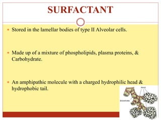 SURFACTANT
 Stored in the lamellar bodies of type II Alveolar cells.
 Made up of a mixture of phospholipids, plasma proteins, &
Carbohydrate.
 An amphipathic molecule with a charged hydrophilic head &
hydrophobic tail.
 