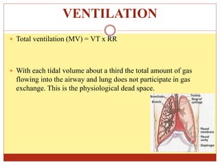 VENTILATION
 Total ventilation (MV) = VT x RR
 With each tidal volume about a third the total amount of gas
flowing into the airway and lung does not participate in gas
exchange. This is the physiological dead space.
 