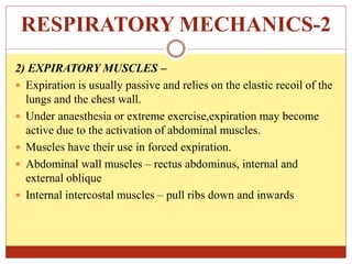 RESPIRATORY MECHANICS-2
2) EXPIRATORY MUSCLES –
 Expiration is usually passive and relies on the elastic recoil of the
lungs and the chest wall.
 Under anaesthesia or extreme exercise,expiration may become
active due to the activation of abdominal muscles.
 Muscles have their use in forced expiration.
 Abdominal wall muscles – rectus abdominus, internal and
external oblique
 Internal intercostal muscles – pull ribs down and inwards
 