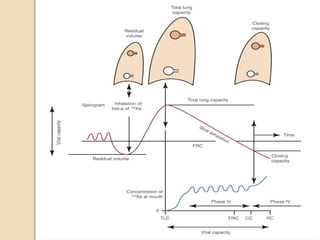 O2 Transport Vent RESPIRATORY PHYSIOLOGY,OXYGEN AND CO2 TRANSPORT, ALVEOLAR VENTILATION.pptx