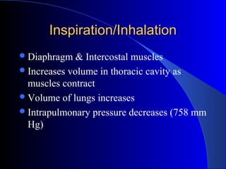 Inspiration/InhalationInspiration/Inhalation
Diaphragm & Intercostal muscles
Increases volume in thoracic cavity as
muscles contract
Volume of lungs increases
Intrapulmonary pressure decreases (758 mm
Hg)
 