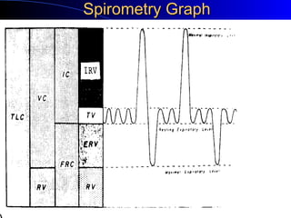 Spirometry GraphSpirometry Graph
 