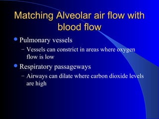 Matching Alveolar air flow withMatching Alveolar air flow with
blood flowblood flow
Pulmonary vessels
– Vessels can constrict in areas where oxygen
flow is low
Respiratory passageways
– Airways can dilate where carbon dioxide levels
are high
 