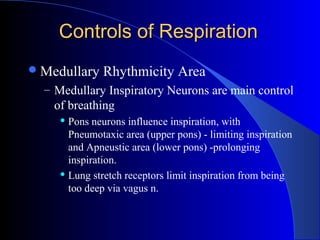 Controls of RespirationControls of Respiration
Medullary Rhythmicity Area
– Medullary Inspiratory Neurons are main control
of breathing
 Pons neurons influence inspiration, with
Pneumotaxic area (upper pons) - limiting inspiration
and Apneustic area (lower pons) -prolonging
inspiration.
 Lung stretch receptors limit inspiration from being
too deep via vagus n.
 