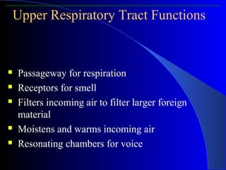  Passageway for respiration
 Receptors for smell
 Filters incoming air to filter larger foreign
material
 Moistens and warms incoming air
 Resonating chambers for voice
Upper Respiratory Tract Functions
 