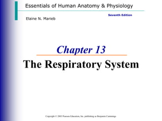 Essentials of Human Anatomy & Physiology
Copyright © 2003 Pearson Education, Inc. publishing as Benjamin Cummings
Seventh Edition
Elaine N. Marieb
Chapter 13
The Respiratory System
 