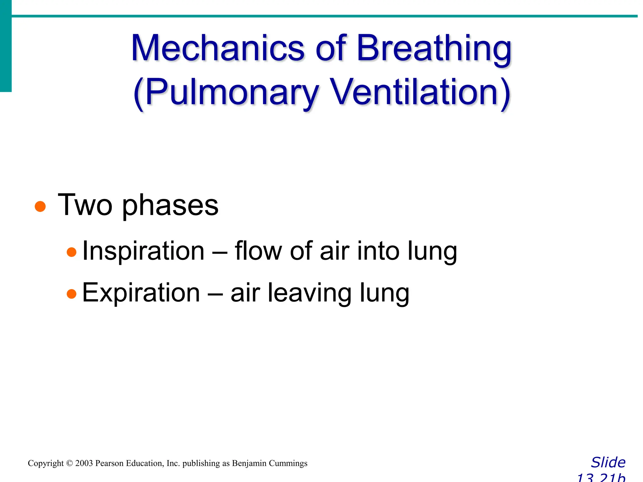 Mechanics of Breathing
(Pulmonary Ventilation)
Slide
Copyright © 2003 Pearson Education, Inc. publishing as Benjamin Cummings
 Two phases
Inspiration – flow of air into lung
Expiration – air leaving lung
 