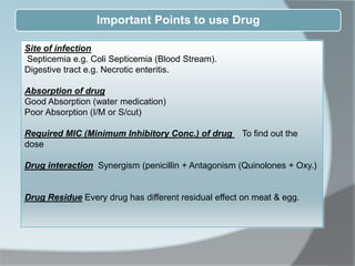 Important Points to use Drug
Site of infection
Septicemia e.g. Coli Septicemia (Blood Stream).
Digestive tract e.g. Necrotic enteritis.
Absorption of drug
Good Absorption (water medication)
Poor Absorption (I/M or S/cut)
Required MIC (Minimum Inhibitory Conc.) of drug To find out the
dose
Drug interaction Synergism (penicillin + Antagonism (Quinolones + Oxy.)
Drug Residue Every drug has different residual effect on meat & egg.
 