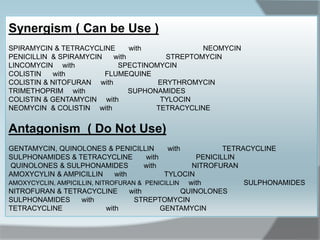 Synergism ( Can be Use )
NEOMYCINwithSPIRAMYCIN & TETRACYCLINE
STREPTOMYCINwithPENICILLIN & SPIRAMYCIN
SPECTINOMYCINwithLINCOMYCIN
FLUMEQUINEwithCOLISTIN
ERYTHROMYCINwithCOLISTIN & NITOFURAN
SUPHONAMIDESwithTRIMETHOPRIM
TYLOCINwithCOLISTIN & GENTAMYCIN
TETRACYCLINEwithNEOMYCIN & COLISTIN
Antagonism ( Do Not Use)
TETRACYCLINEwithGENTAMYCIN, QUINOLONES & PENICILLIN
PENICILLINwithSULPHONAMIDES & TETRACYCLINE
NITROFURANwithQUINOLONES & SULPHONAMIDES
TYLOCINwithAMOXYCYLIN & AMPICILLIN
SULPHONAMIDESwithAMOXYCYCLIN, AMPICILLIN, NITROFURAN & PENICILLIN
QUINOLONESwithNITROFURAN & TETRACYCLINE
STREPTOMYCINwithSULPHONAMIDES
GENTAMYCINwithTETRACYCLINE
 
