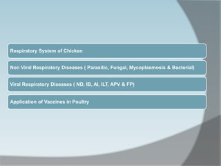 Respiratory System of Chicken
Non Viral Respiratory Diseases ( Parasitic, Fungal, Mycoplasmosis & Bacterial)
Viral Respiratory Diseases ( ND, IB, AI, ILT, APV & FP)
Application of Vaccines in Poultry
 