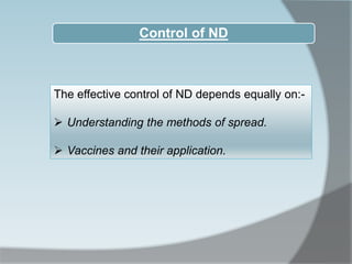 The effective control of ND depends equally on:-
 Understanding the methods of spread.
 Vaccines and their application.
Control of ND
 